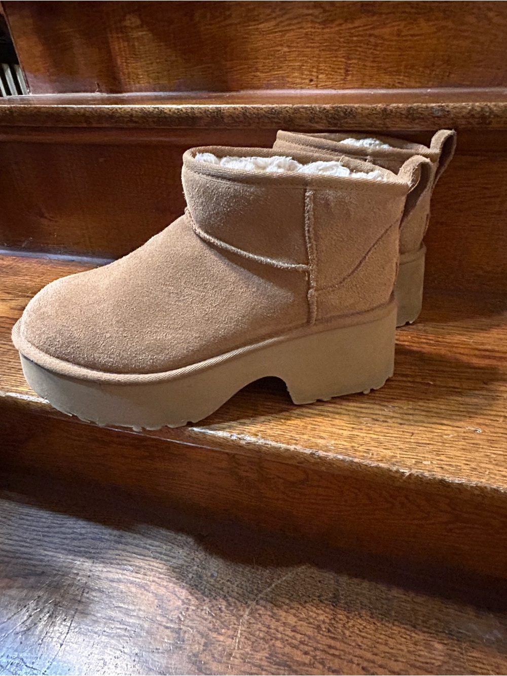 UGG Women's Short Platform Boot in Chestnut Suede